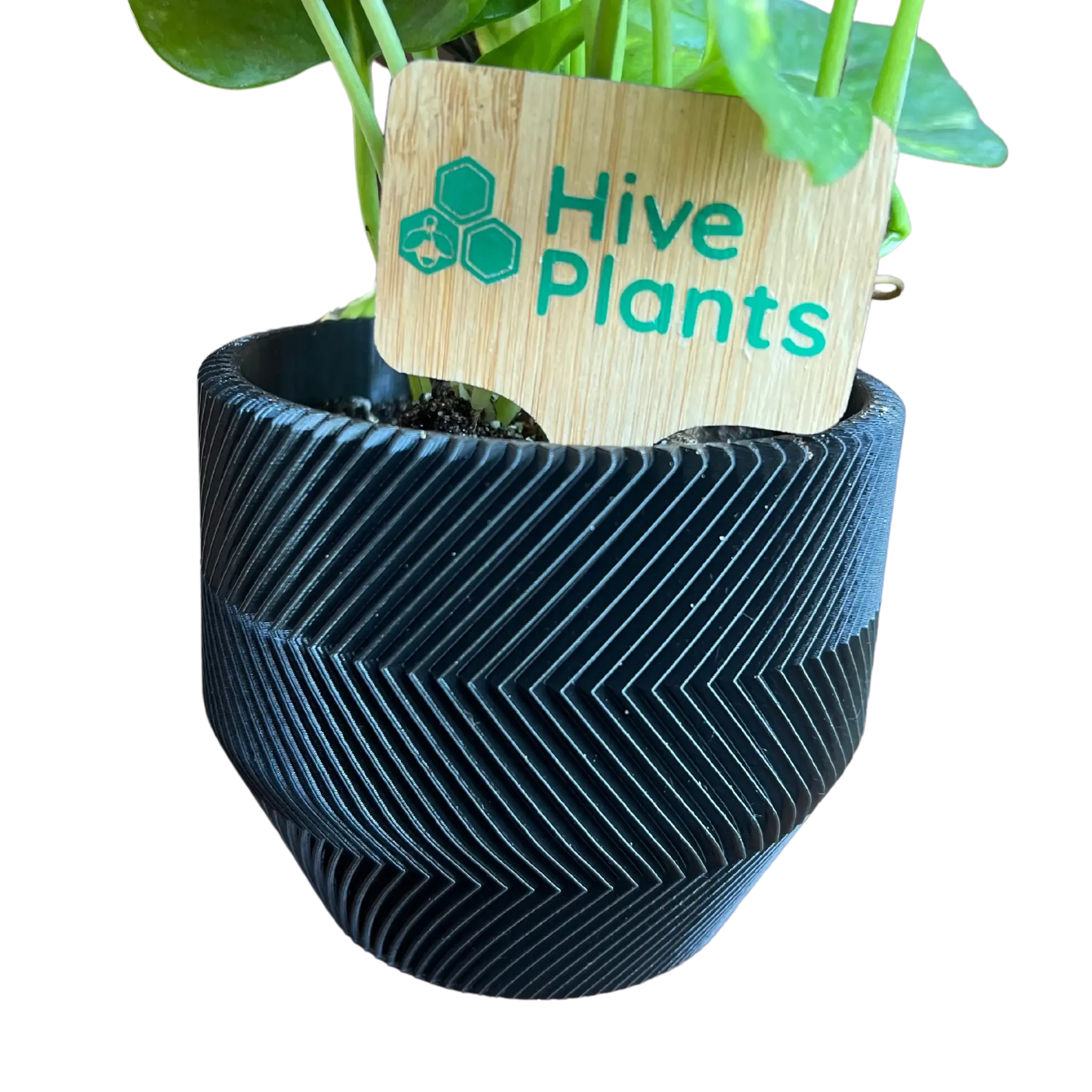 3D Printed Zig Zag Pot