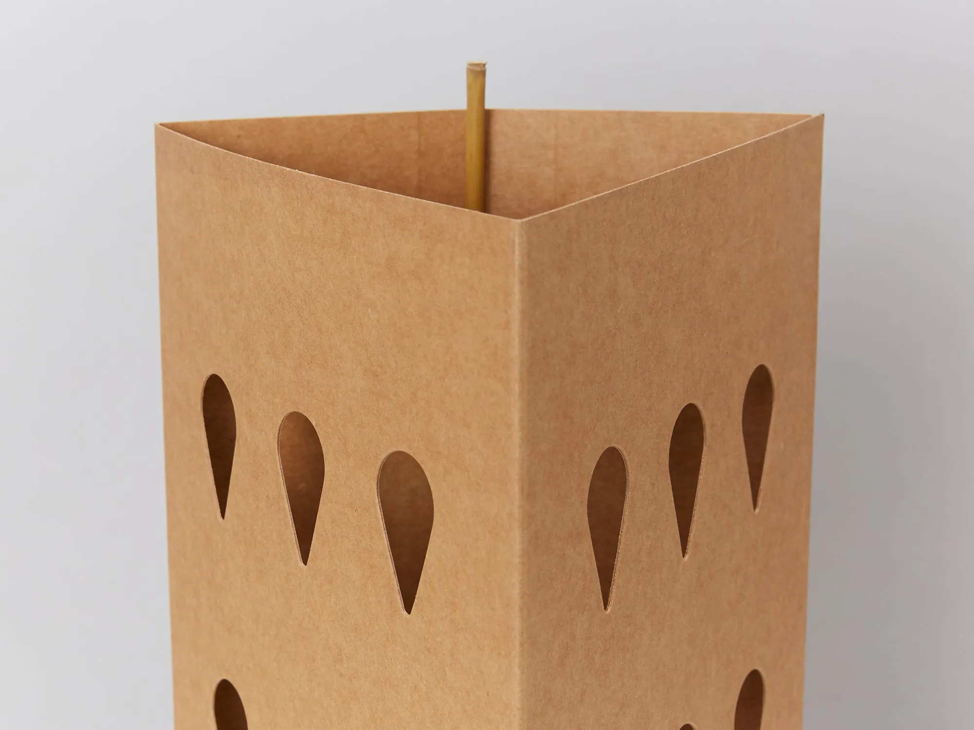 Biodegradable Plant Shield ♻️